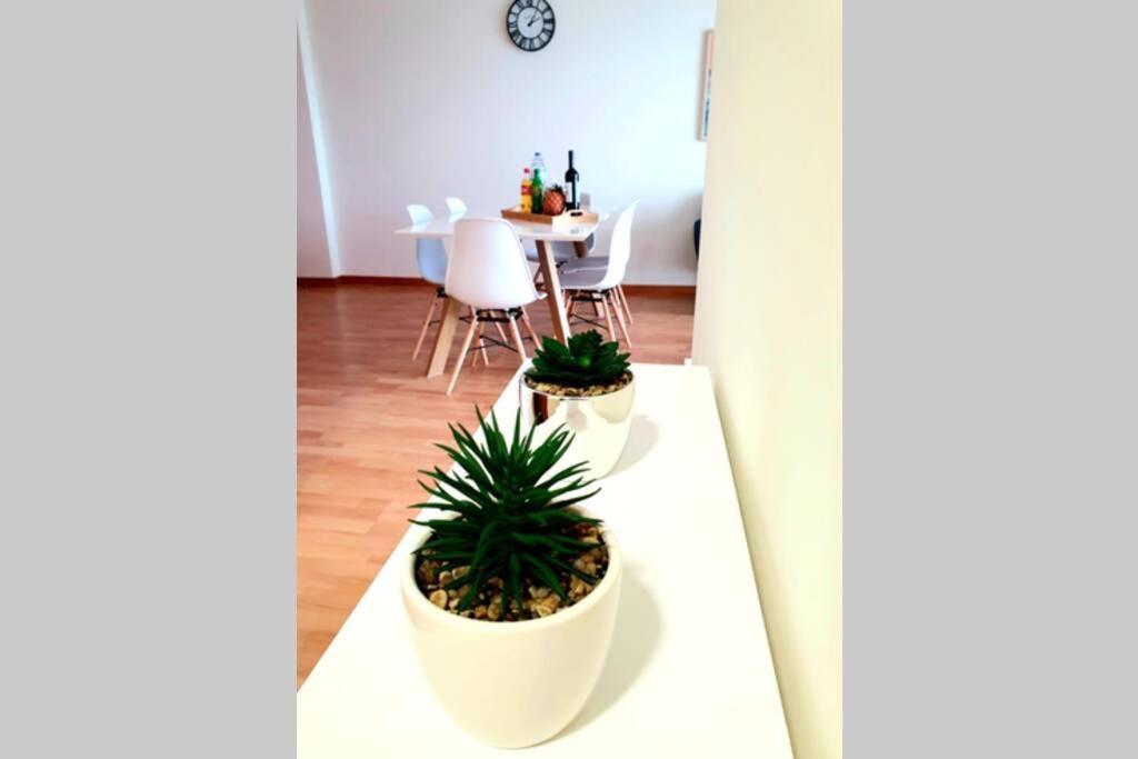Hill & Sea House Apartamento Ribeira Grande Exterior foto